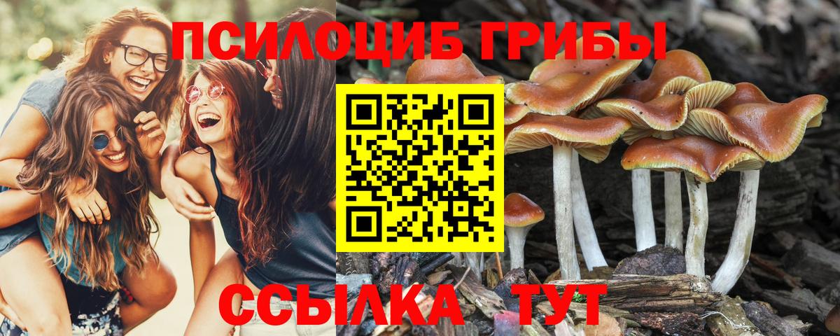 Псилоцибиновые грибы мухоморы  где купить   Кулебаки  Вход с VPN 